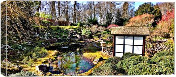 Japanese garden  Canvas Print by Les Schofield