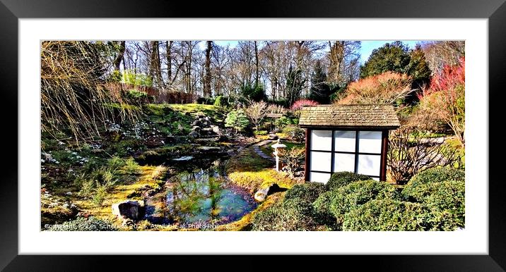 Japanese garden  Framed Mounted Print by Les Schofield