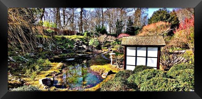 Japanese garden  Framed Print by Les Schofield