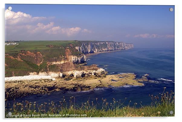 Flamborough North Landing Acrylic by David Borrill