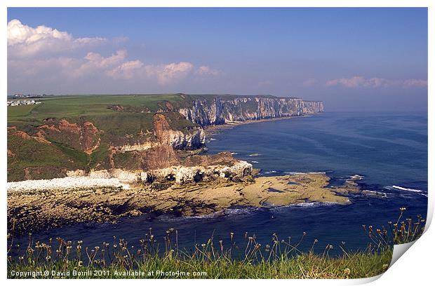 Flamborough North Landing Print by David Borrill