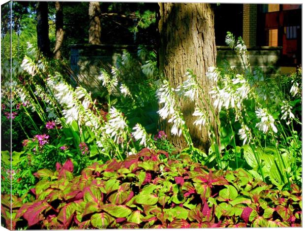 Part of the garden Canvas Print by Stephanie Moore