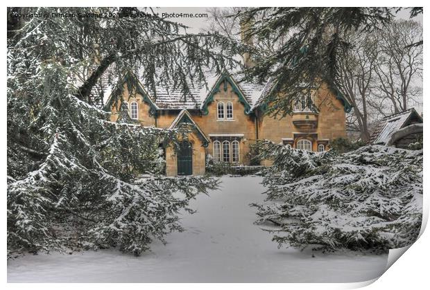 Royal Victoria Park’s fairytale cottage peeking through the evergreen snow Print by Duncan Savidge