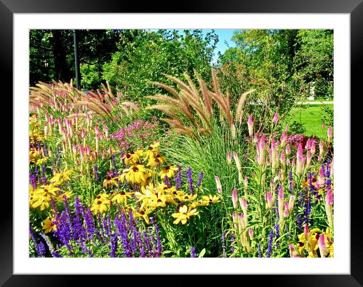 Flowers in the Garden Framed Mounted Print by Stephanie Moore