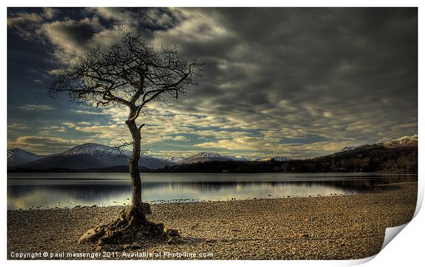 Lone tree Loch Lomond Print by Paul Messenger