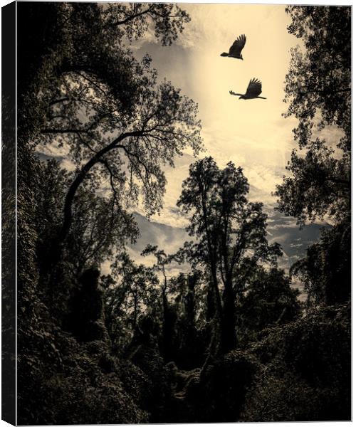 Primeval Forest Canvas Print by Chris Lord