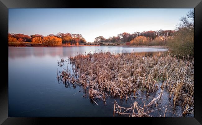 Nostell Top Lake near Wakefield Framed Print by Tim Hill
