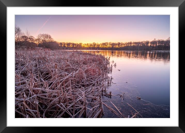 Serenity at Nostell Top Lake Framed Mounted Print by Tim Hill