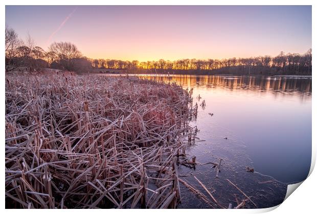 Serenity at Nostell Top Lake Print by Tim Hill