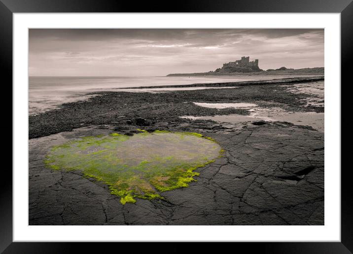 Bamburgh Heart Pool Framed Mounted Print by Tim Hill