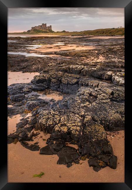 Bamburgh Castle from Harkness rocks Framed Print by Tim Hill