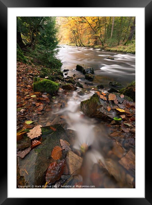 Autumn River Scene Framed Mounted Print by Mark Purdue