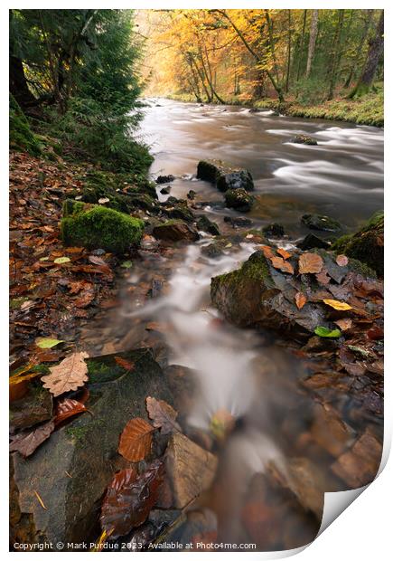 Autumn River Scene Print by Mark Purdue