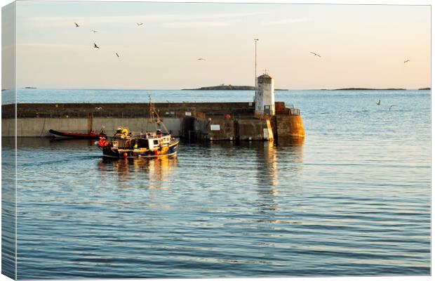 Seahouses Harbour Fishing Boat Canvas Print by Tim Hill