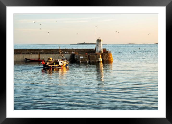 Seahouses Harbour Fishing Boat Framed Mounted Print by Tim Hill