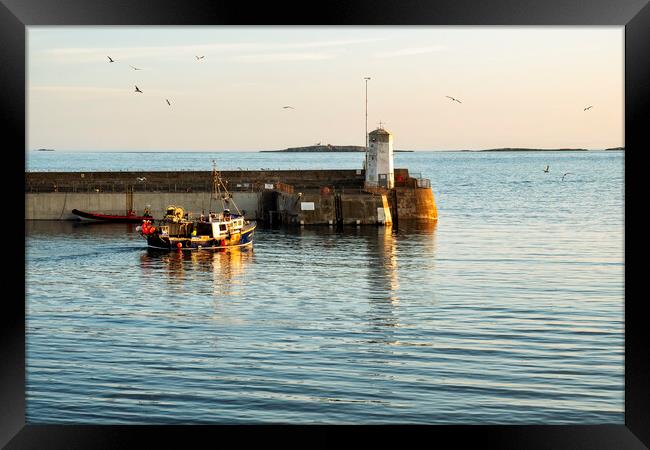 Seahouses Harbour Fishing Boat Framed Print by Tim Hill