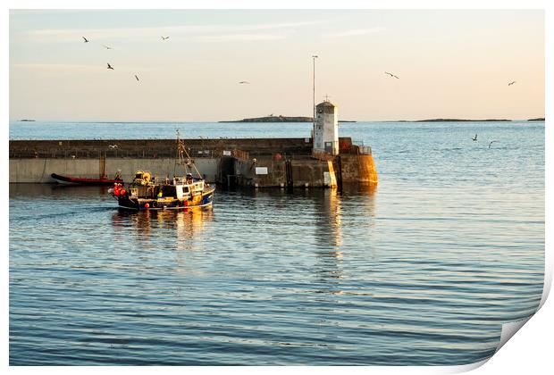 Seahouses Harbour Fishing Boat Print by Tim Hill