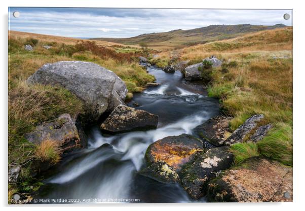 Dartmoor River Acrylic by Mark Purdue