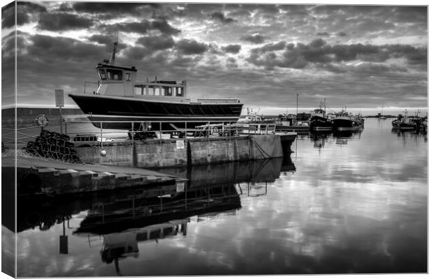 Seahouses Harbour Black and White Canvas Print by Tim Hill