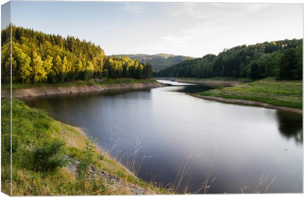 A body of water surrounded by trees in the Czech R Canvas Print by Irena Chlubna