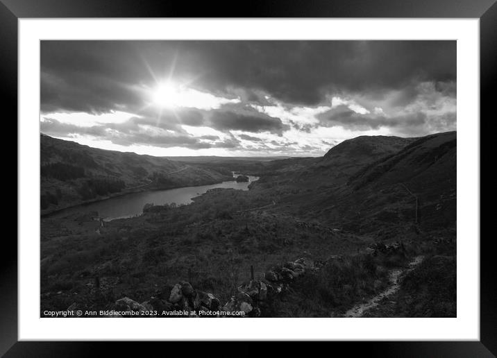 View over Loch Trool  Framed Mounted Print by Ann Biddlecombe