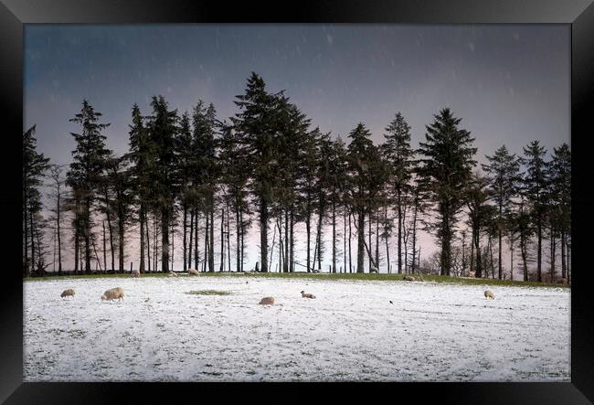 A Winter's day at twilight Framed Print by Leighton Collins