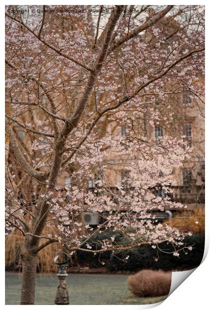 Moody Spring in Parade Gardens Bath Print by Duncan Savidge
