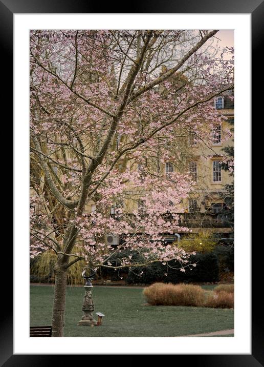 Spring in Parade Gardebs Bath Framed Mounted Print by Duncan Savidge