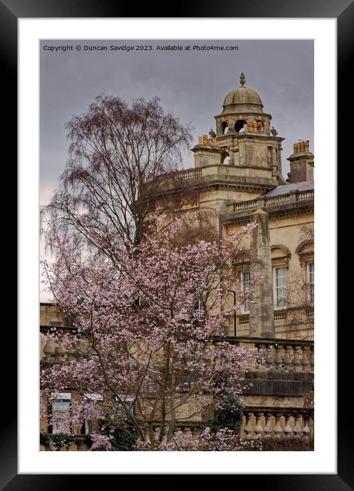 Blossom tree against the Guildhall Bath Framed Mounted Print by Duncan Savidge