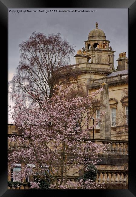 Blossom tree against the Guildhall Bath Framed Print by Duncan Savidge