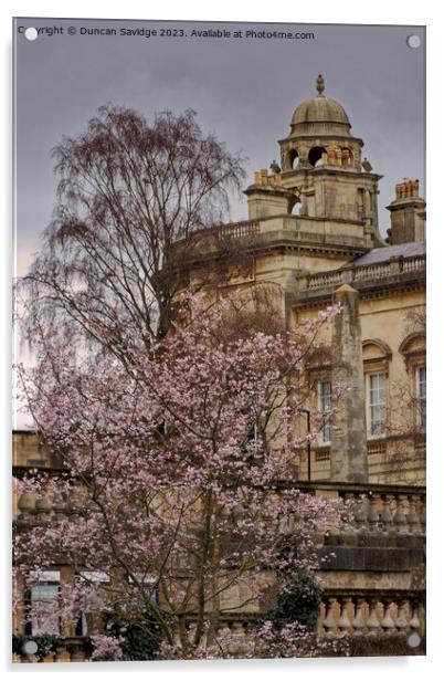 Blossom tree against the Guildhall Bath Acrylic by Duncan Savidge