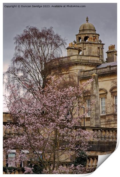 Blossom tree against the Guildhall Bath Print by Duncan Savidge