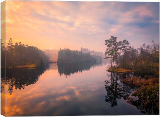 Majestic Views of Tarn Hows Canvas Print by Tim Hill