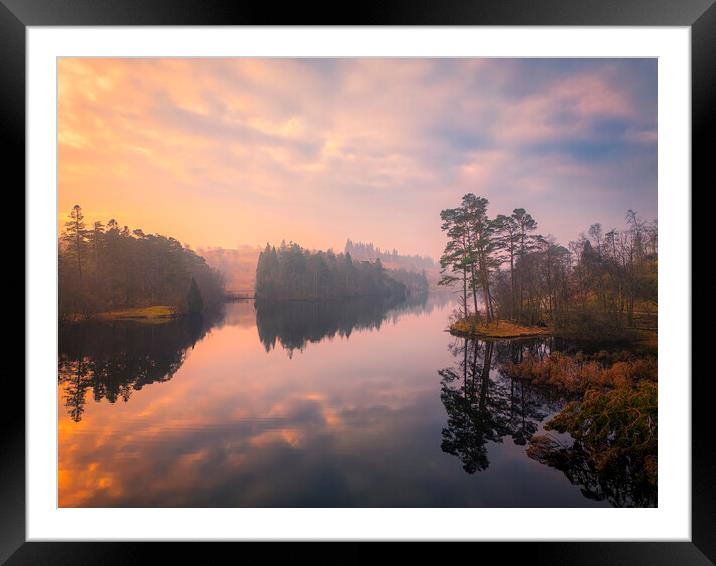 Majestic Views of Tarn Hows Framed Mounted Print by Tim Hill