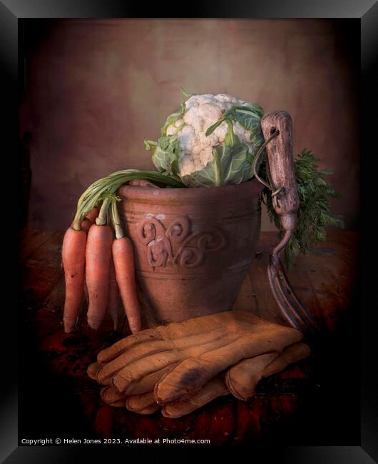 Vegetables and Plant pot  Framed Print by Helen Jones