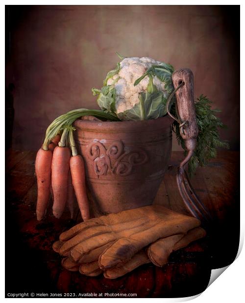 Vegetables and Plant pot  Print by Helen Jones