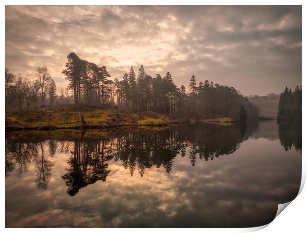 Tarn Hows Landscape Print by Tim Hill