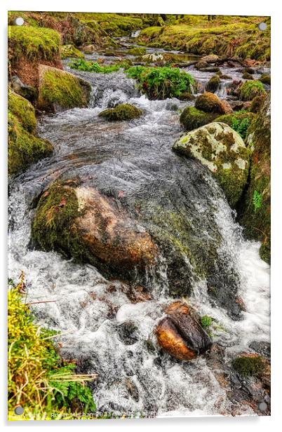 Rushing Waters Acrylic by Roger Mechan