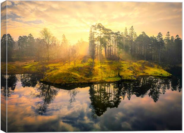 Misty Sunrise at Tarn Hows Canvas Print by Tim Hill