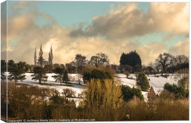 View From The Park. Canvas Print by Anthony Moore