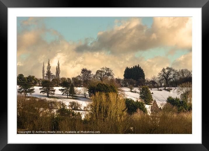 View From The Park. Framed Mounted Print by Anthony Moore