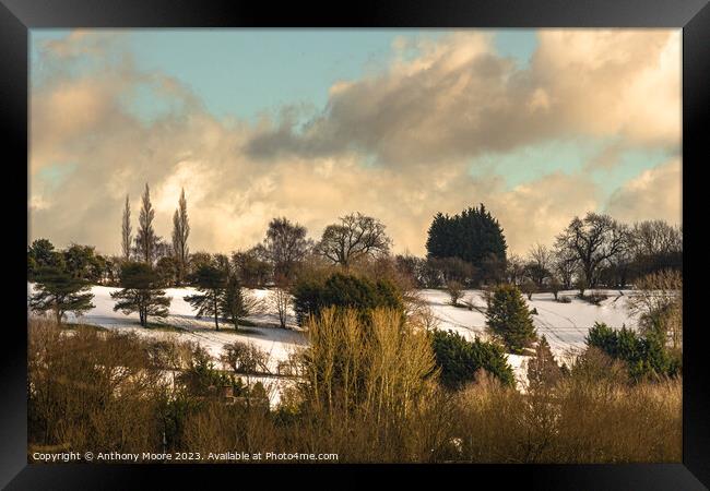 View From The Park. Framed Print by Anthony Moore