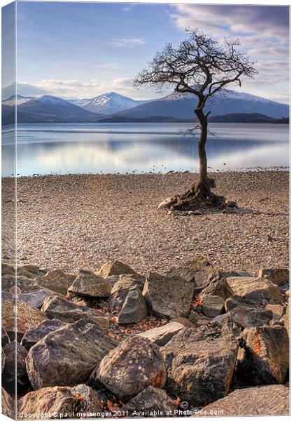 Lone tree Loch Lomond Canvas Print by Paul Messenger