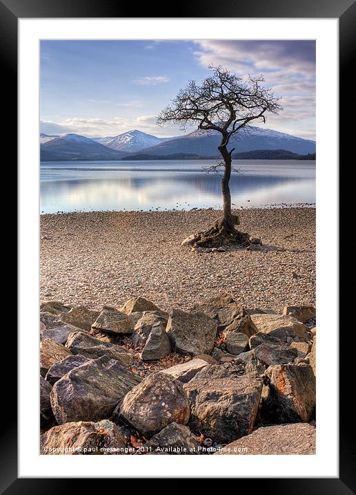 Lone tree Loch Lomond Framed Mounted Print by Paul Messenger