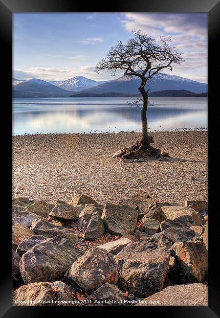 Lone tree Loch Lomond Framed Print by Paul Messenger