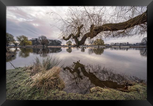 Large tree branch reaching out across the pond Framed Print by Kevin White