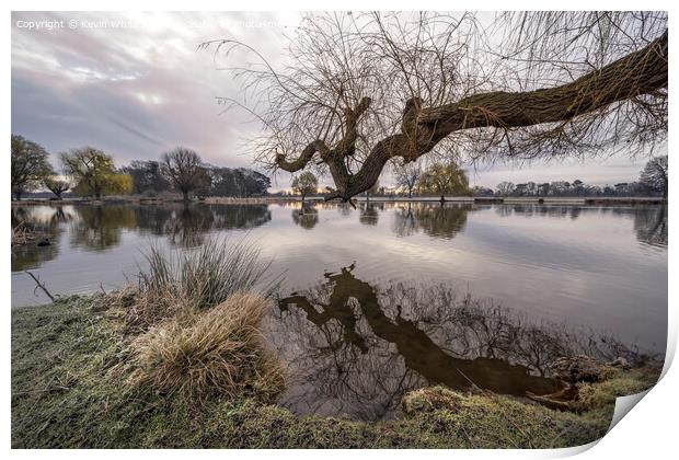 Large tree branch reaching out across the pond Print by Kevin White