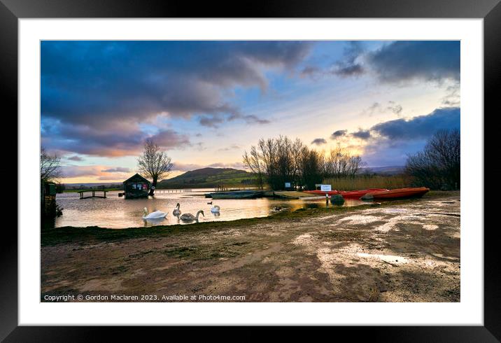 Swans on Llangorse Lake at sunset  Framed Mounted Print by Gordon Maclaren