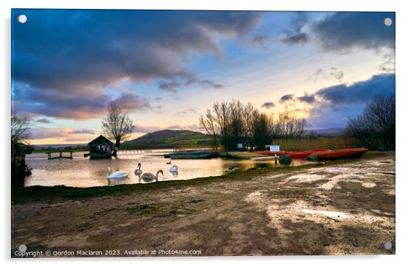 Swans on Llangorse Lake at sunset  Acrylic by Gordon Maclaren