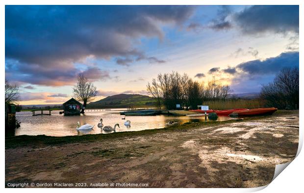 Swans on Llangorse Lake at sunset  Print by Gordon Maclaren